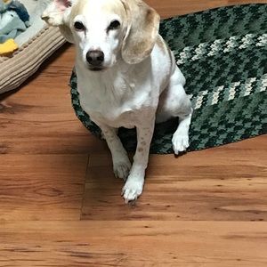 Meet your Posher, Liz